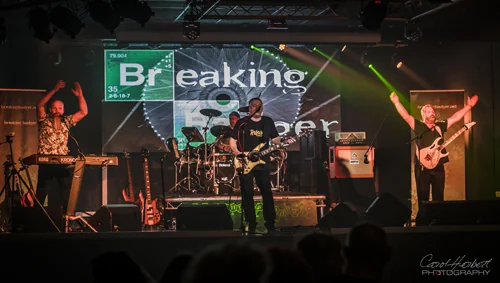 Breaking Badger