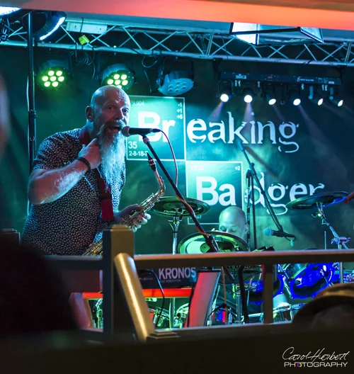 Breaking Badger