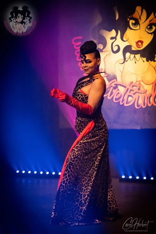Demi Noire at The Velvet Burlesque