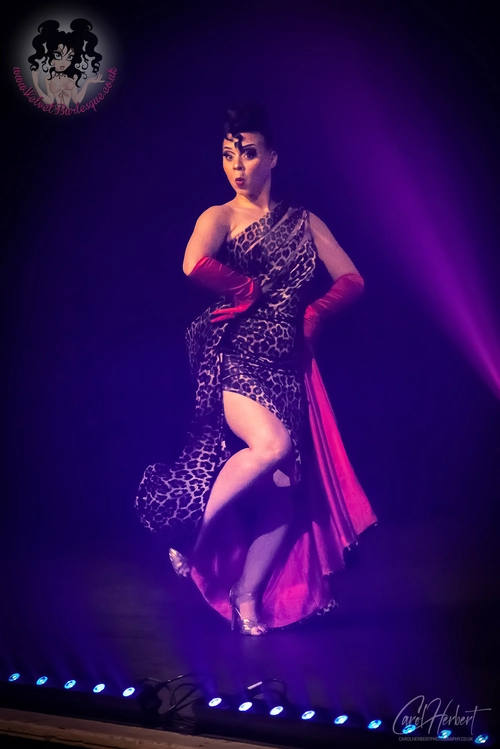 Demi Noire at The Velvet Burlesque