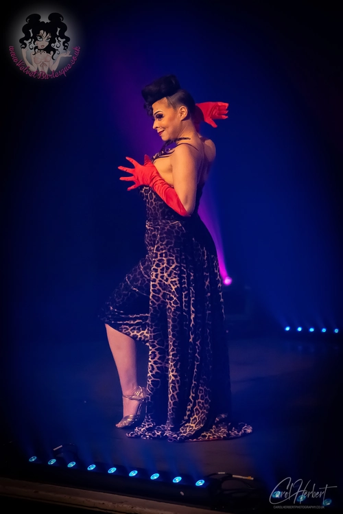 Demi Noire at The Velvet Burlesque
