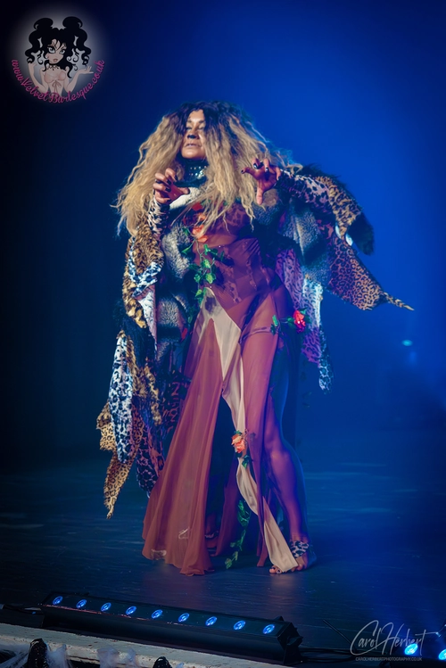 Jada Love at The Velvet Burlesque