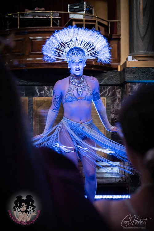 Lena Lenman at The Velvet Burlesque