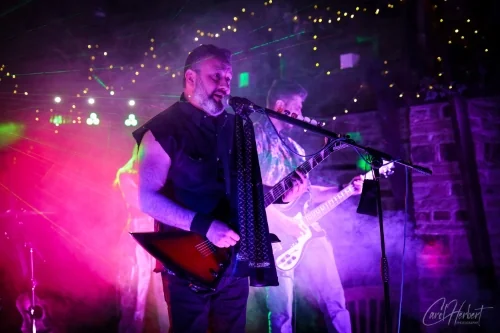 The Skinks