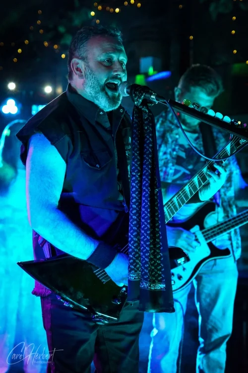 The Skinks