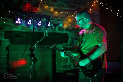 The Skinks