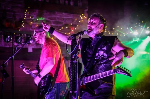 The Skinks