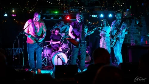 The Skinks