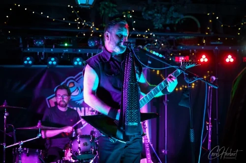 The Skinks