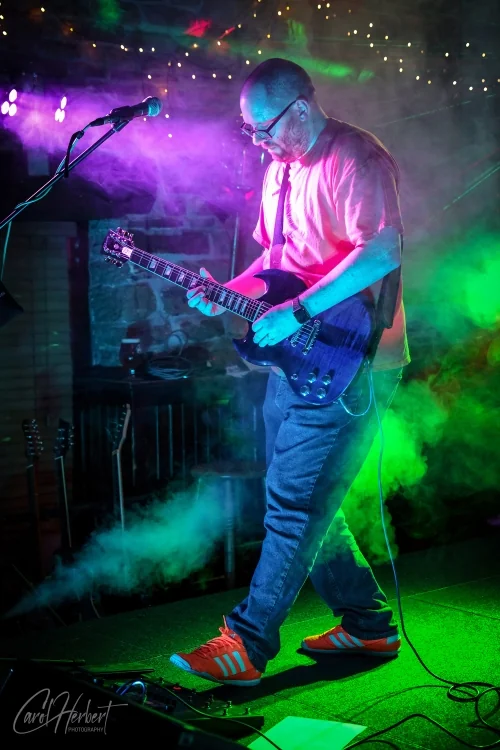 The Skinks