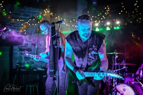The Skinks