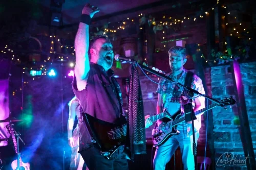 The Skinks