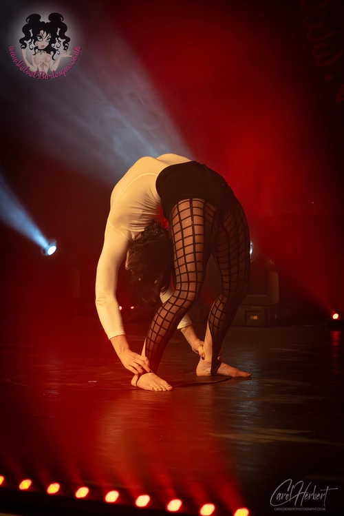 Twisted Nymph at The Velvet Burlesque
