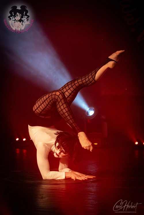 Twisted Nymph at The Velvet Burlesque