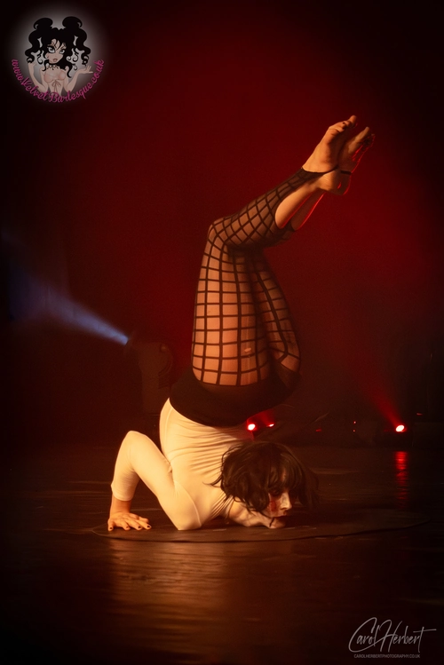 Twisted Nymph at The Velvet Burlesque