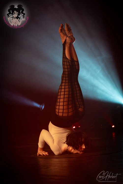 Twisted Nymph at The Velvet Burlesque
