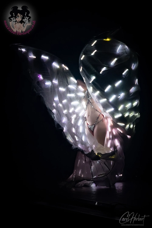 Vicky Butterfly at The Velvet Burlesque