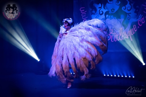 Vicky Butterfly at The Velvet Burlesque