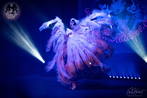 Vicky Butterfly at The Velvet Burlesque