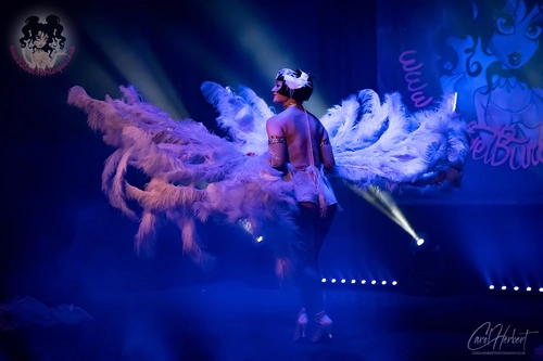 Vicky Butterfly at The Velvet Burlesque