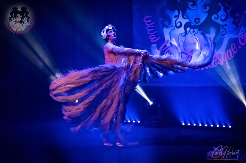 Vicky Butterfly at The Velvet Burlesque