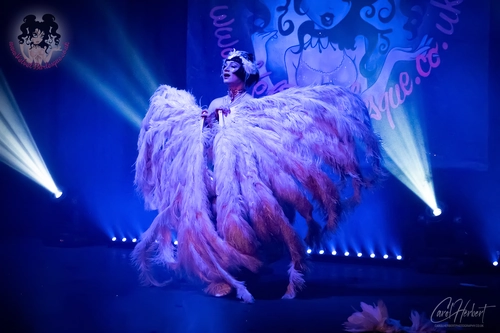 Vicky Butterfly at The Velvet Burlesque