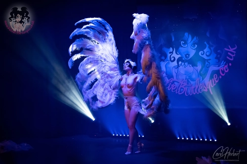 Vicky Butterfly at The Velvet Burlesque