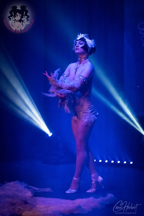 Vicky Butterfly at The Velvet Burlesque