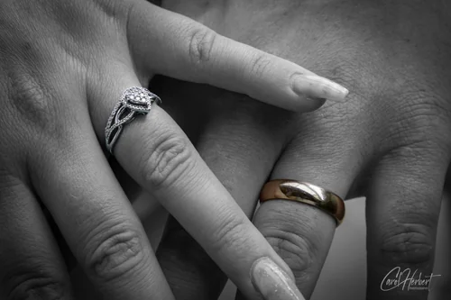 The Wedding of Shanon & James Photo Shoot