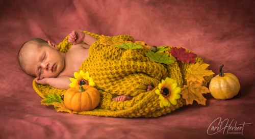 Babies & Children Photo Shoot