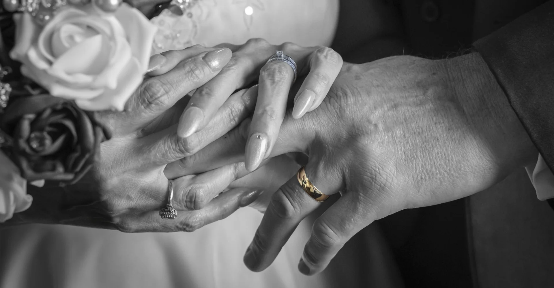 Carol Herbert Photography