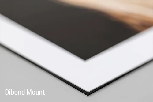 Image showing Dibond ready to hang photo prints